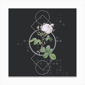 Vintage White Provence Rose Botanical with Geometric Line Motif and Dot Pattern n.0196 Canvas Print