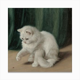 White Cat Canvas Print