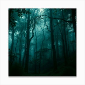 Dark Forest 2 Canvas Print