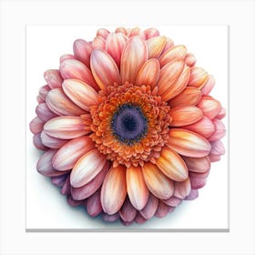 Gerbera Daisy 5 Toile