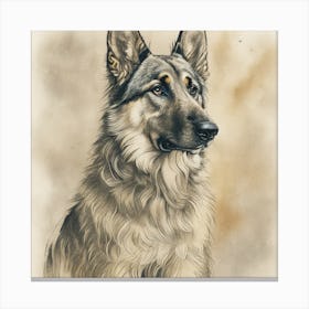 German Shepherd 1 Canvas Print