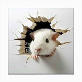 Guinea Pig 17 Canvas Print