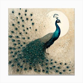 Peacock Canvas Print