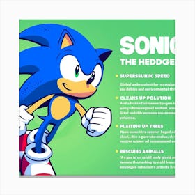 Sonic The Hedgehog 25 Canvas Print