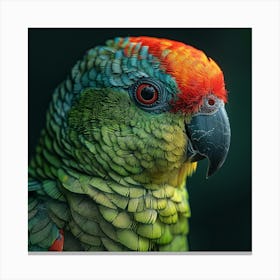 Colorful Parrot 10 Canvas Print