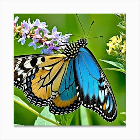 Blue Butterfly 4 Canvas Print