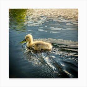 Swan photo 8 Canvas Print