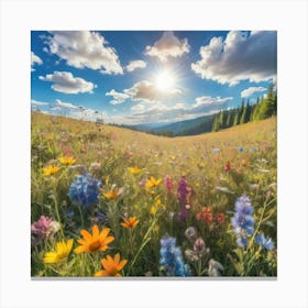 Wildflowers In The Meadow 2 Canvas Print