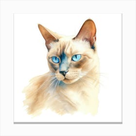 Burmese Platinum Cat Portrait 1 Canvas Print