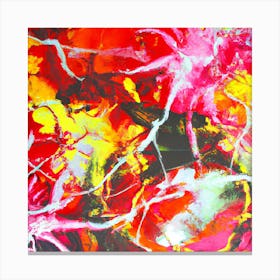 Abstract Painting 2 Canvas Print