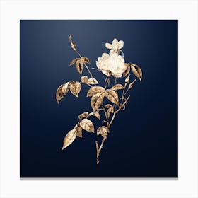 Gold Botanical White Bengal Rose on Midnight Navy n.2824 Canvas Print