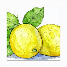 Lemons 1 Canvas Print