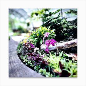 Orchids In A Greenhouse Canvas Print