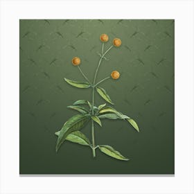 Vintage Orange Ball Tree Botanical on Lunar Green Pattern n.1617 Canvas Print
