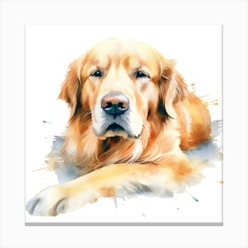 Golden Retriever Watercolor Painting 6 Canvas Print