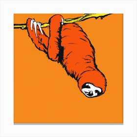 Orange Sloth Canvas Print