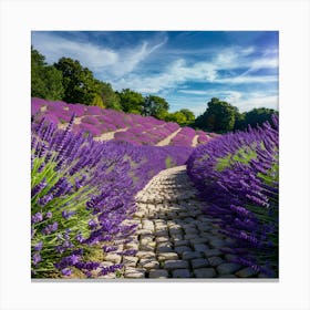 Lavender Field In France Photo Canvas Print