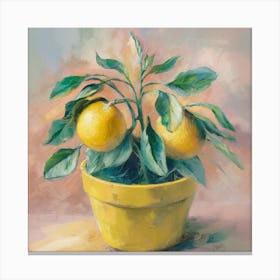 Oranges In A Yellow Pot Canvas Print