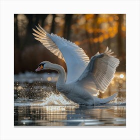Swan In Flight 4 Canvas Print