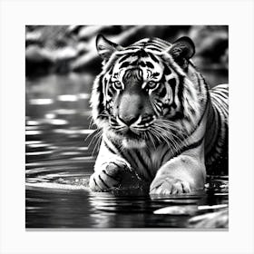 Tiger In Water 1 Canvas Print