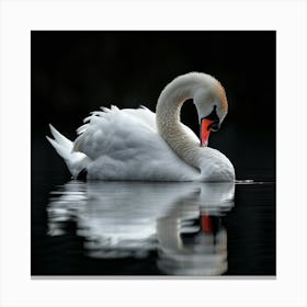 Black Water Swan Canvas Print