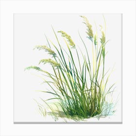 Watercolor-Spring-Grass-Clipart.6 Canvas Print