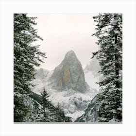 Mountain Snow Branches Wallpaper 1024x1024 Canvas Print