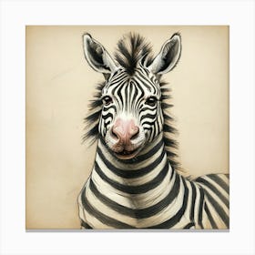 Zebra 10 Canvas Print