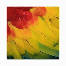 Parrot Feathers Canvas Print