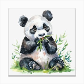 Panda Bear Canvas Print