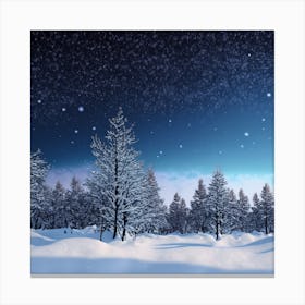 Winter Night Sky Canvas Print