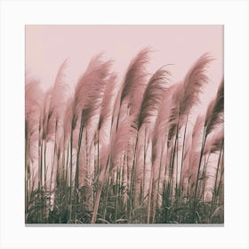 Pink Reeds 1 Canvas Print