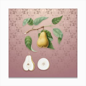 Vintage Pear Botanical on Dusty Pink Pattern Canvas Print