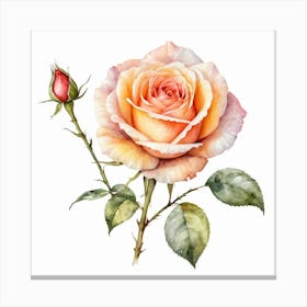 Watercolor Rose Canvas Print