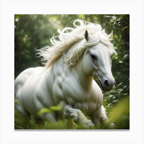 Beautiful White Horse Canvas Print