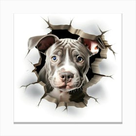 Pit Bull 1 Canvas Print