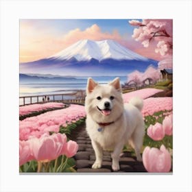 Pomeranian Dog In Tulips Canvas Print