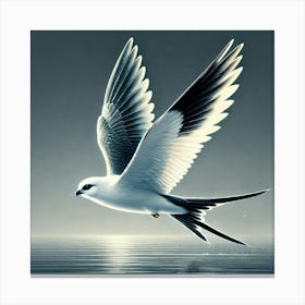 Bird In Flight 5 Canvas Print