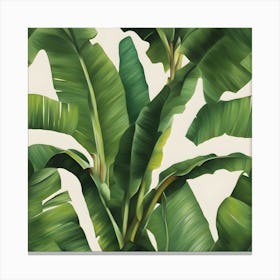 Banana Leaves Canvas Print