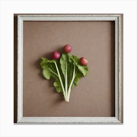 Radishes 78 Canvas Print