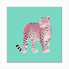 Ice Green And Pink A Boo Leopard Canvas Print