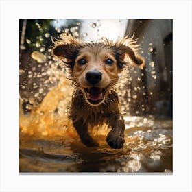 Dog Running In Water Canvas Print