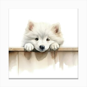 Samoyed 9 Canvas Print