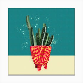 Funky Cactus 3 Square Canvas Print