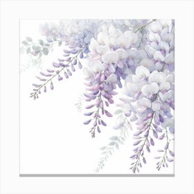 Flowers of Wisteria 3 Canvas Print