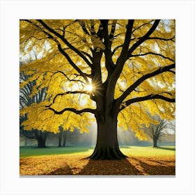 Autumn Tree 1 Canvas Print