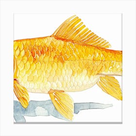 Goldfish Canvas Print