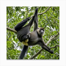 Howler Monkey Primate Mammal Arboreal Tropical Rainforest South America Canopy Loud Vocal Canvas Print
