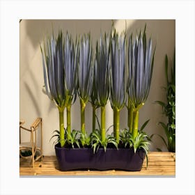 Blue Plants In A Pot Canvas Print