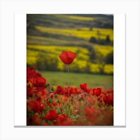 Poppy Field Canvas Print